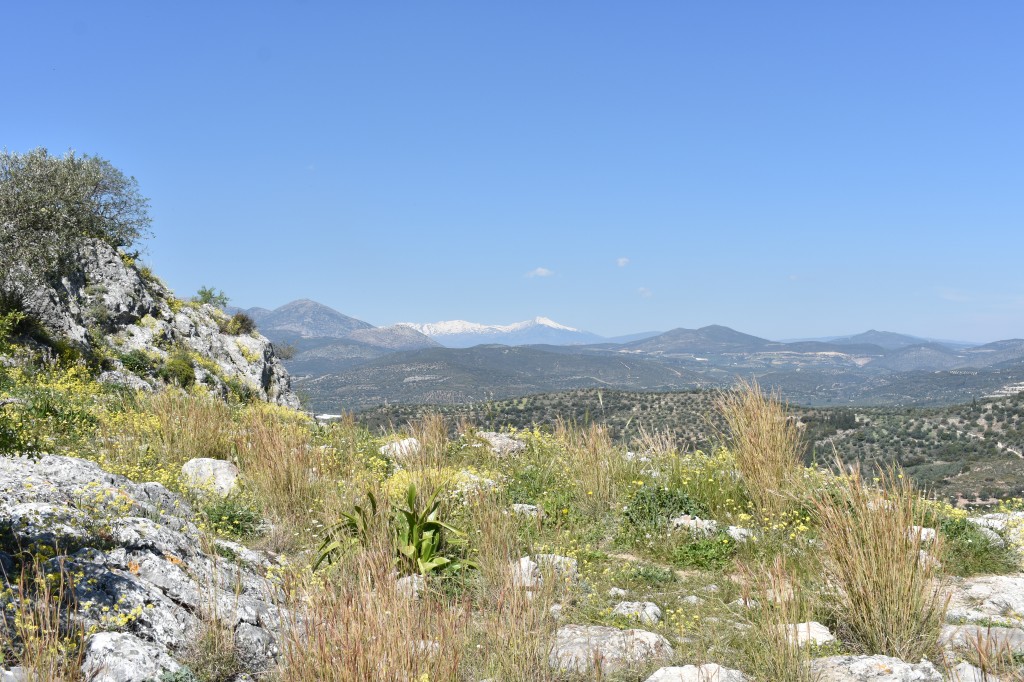 DSC_0053.jpg