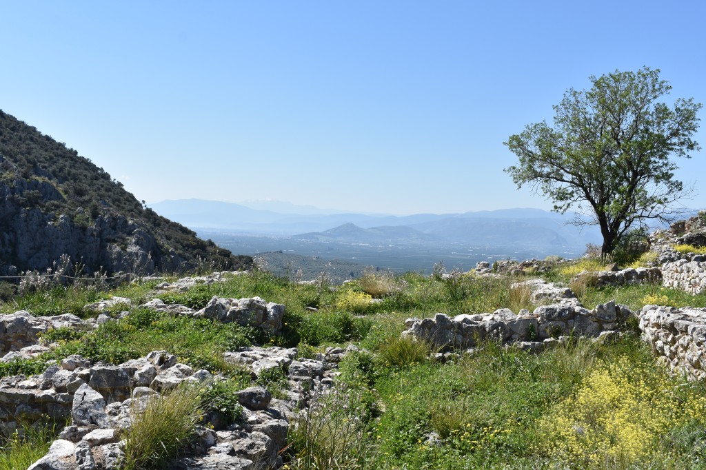 DSC_0054.jpg