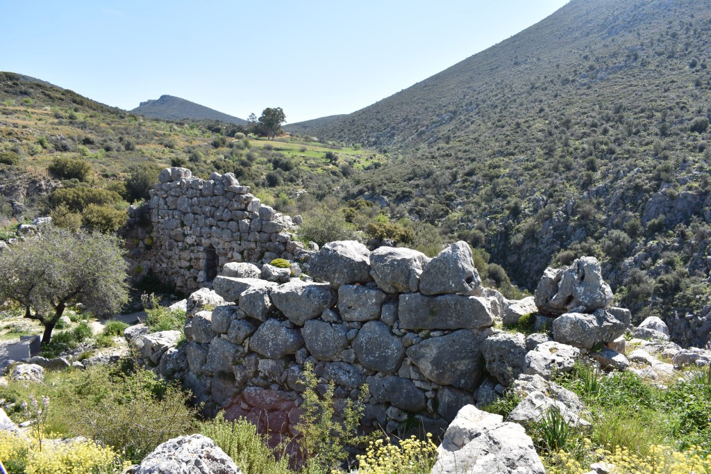 DSC_0055.jpg