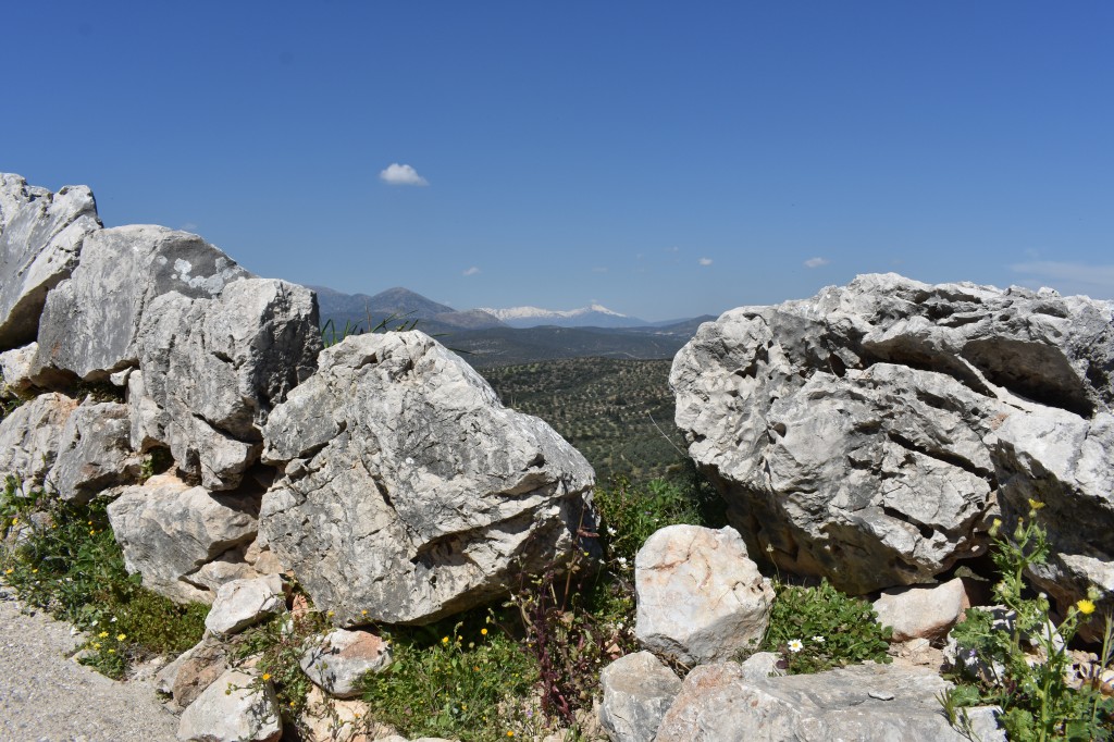 DSC_0058.jpg