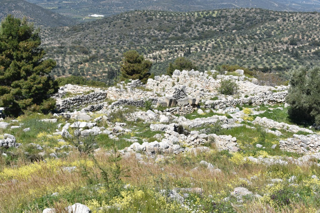 DSC_0062.jpg