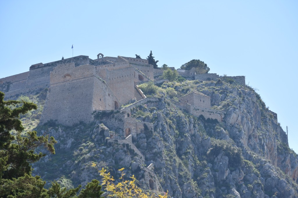 DSC_0089.jpg