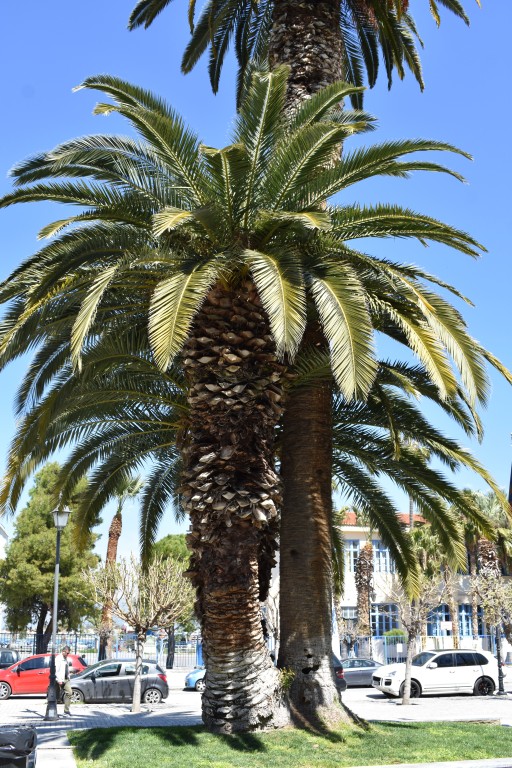 DSC_0094.jpg