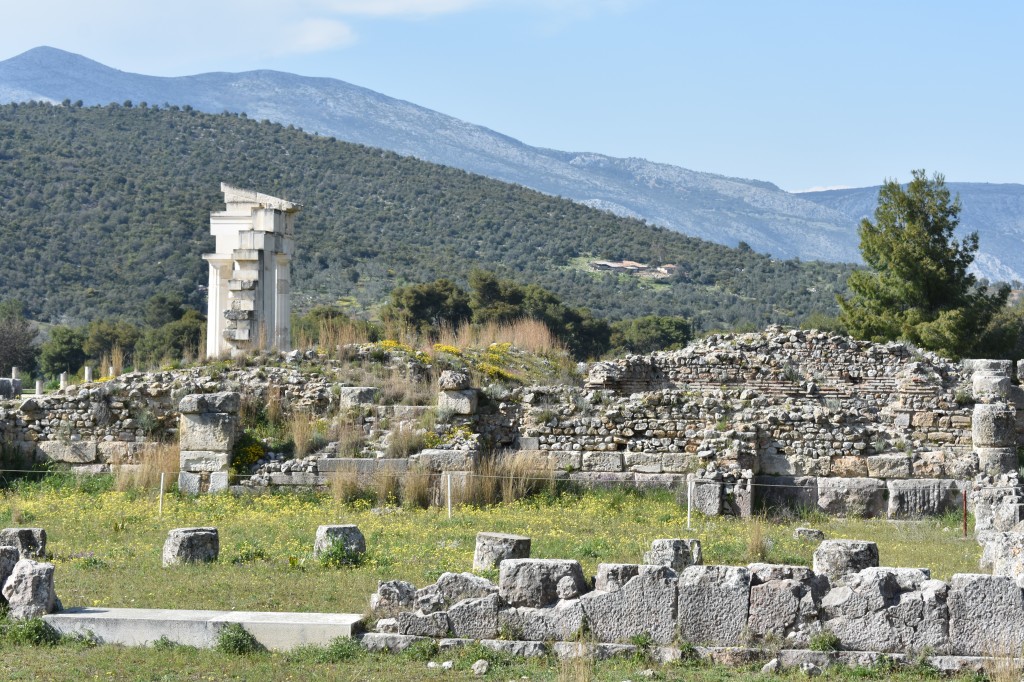 DSC_0154.jpg