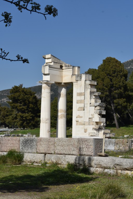 DSC_0155.jpg