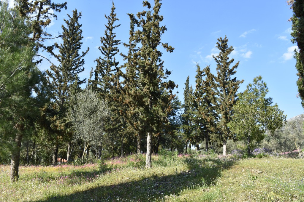 DSC_0160.jpg