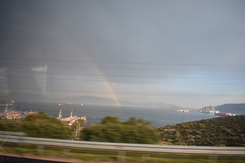DSC_0173.jpg
