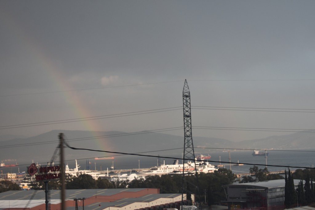 DSC_0175.jpg