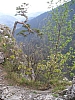 pieniny100.jpg