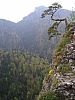 pieniny107.jpg