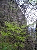 pieniny122.jpg
