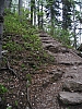 pieniny124.jpg