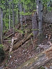 pieniny125.jpg
