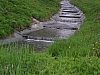 pieniny134.jpg
