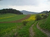 pieniny29.jpg