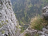 pieniny95.jpg