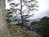 pieniny97.jpg