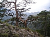 pieniny98.jpg