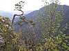 pieniny99.jpg