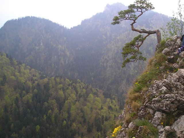 pieniny102.jpg