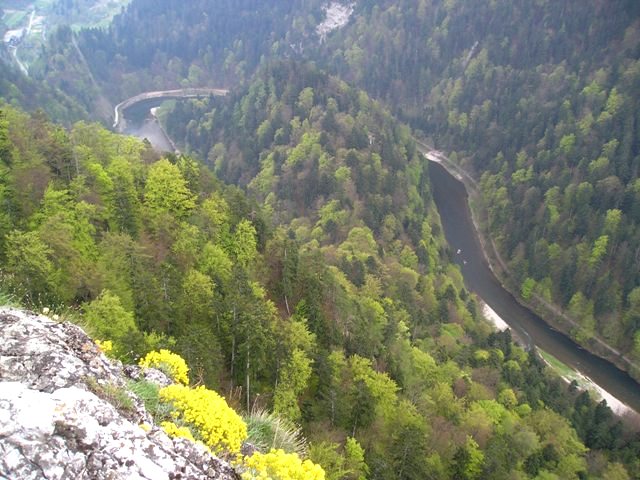 pieniny104.jpg