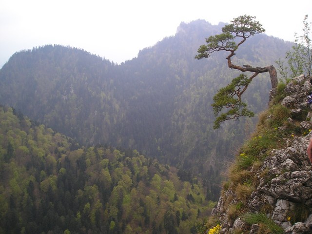 pieniny106.jpg