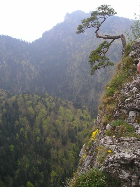 pieniny107.jpg