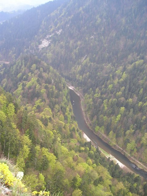 pieniny109.jpg