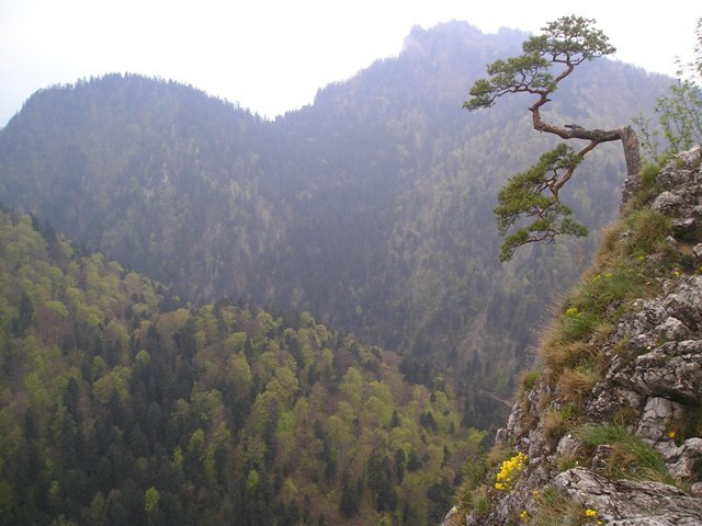 pieniny111.jpg