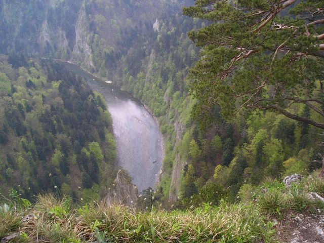 pieniny114.jpg