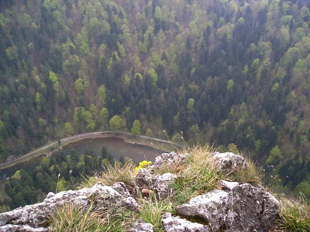 pieniny119.jpg