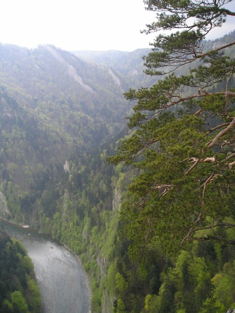 pieniny121.jpg