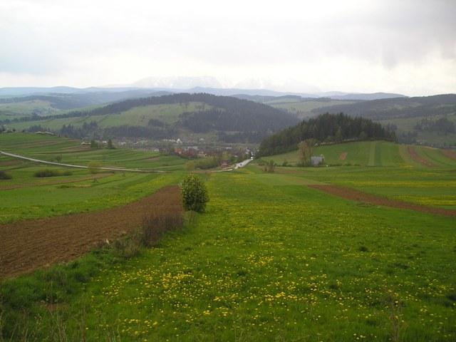 pieniny27.jpg