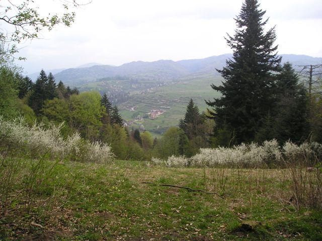 pieniny93.jpg