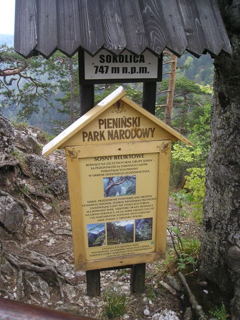 pieniny96.jpg