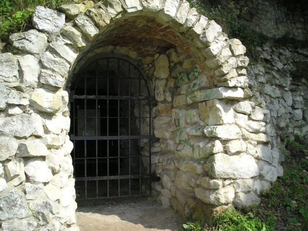 pulawy32.jpg