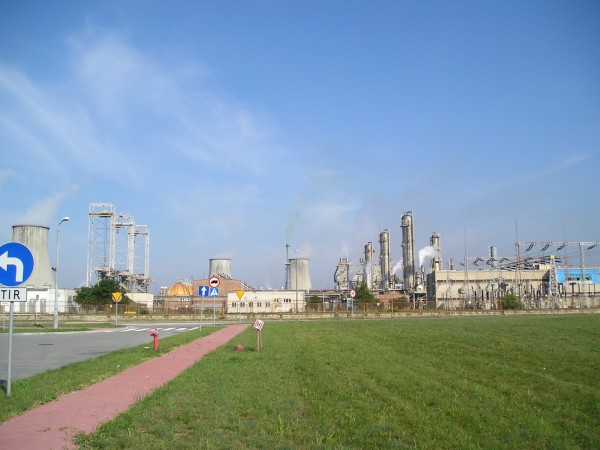 pulawy48.jpg