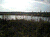 region123.jpg
