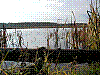region125.jpg