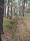 region128.jpg