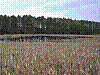 region146.jpg