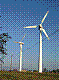 region154.jpg