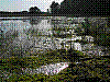 region156.jpg