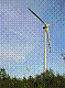 region159.jpg