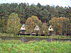 region164.jpg