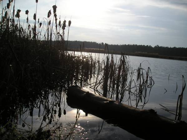 region126.jpg