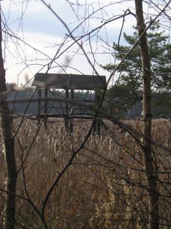 region127.jpg