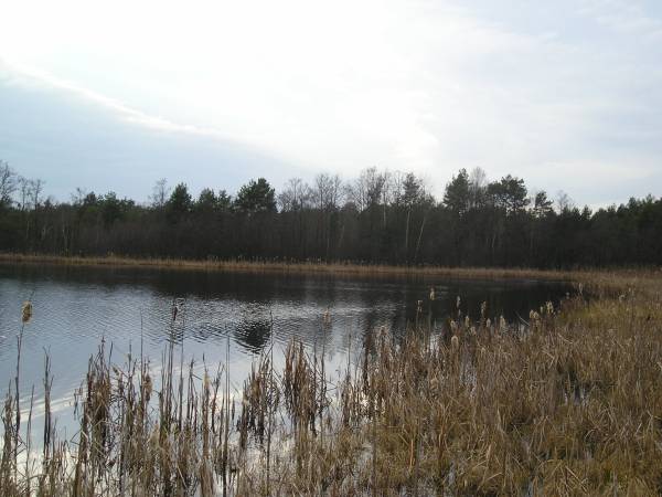 region135.jpg