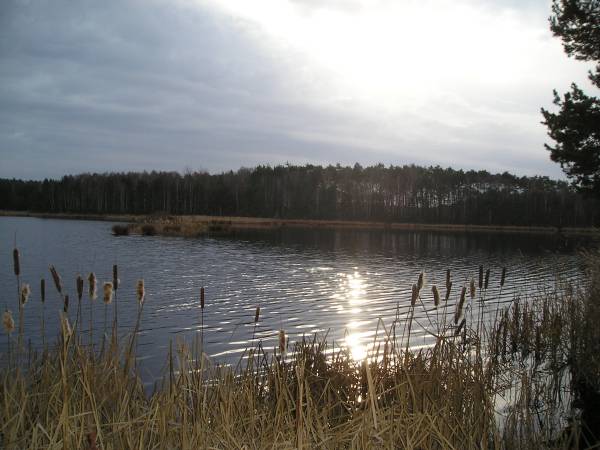 region139.jpg