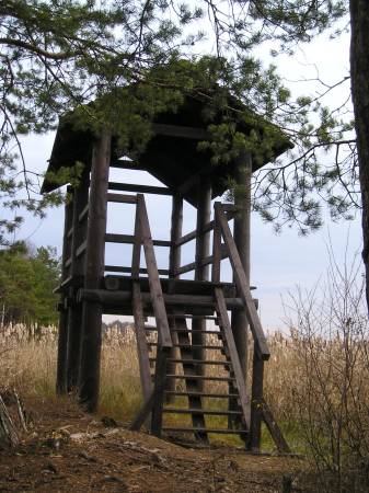 region143.jpg